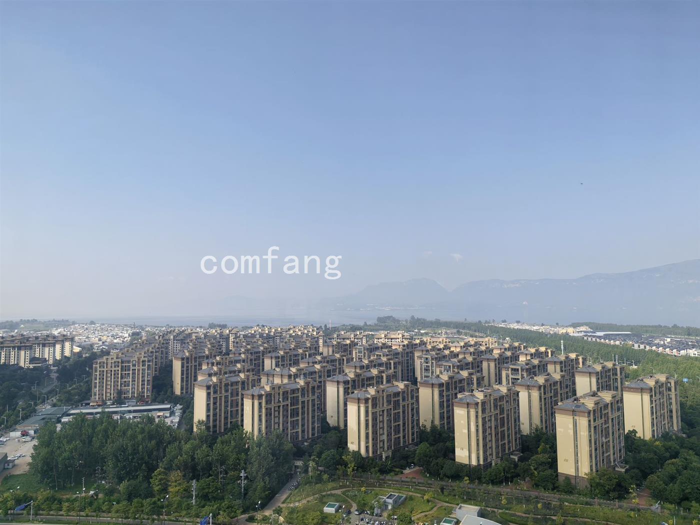 实拍图